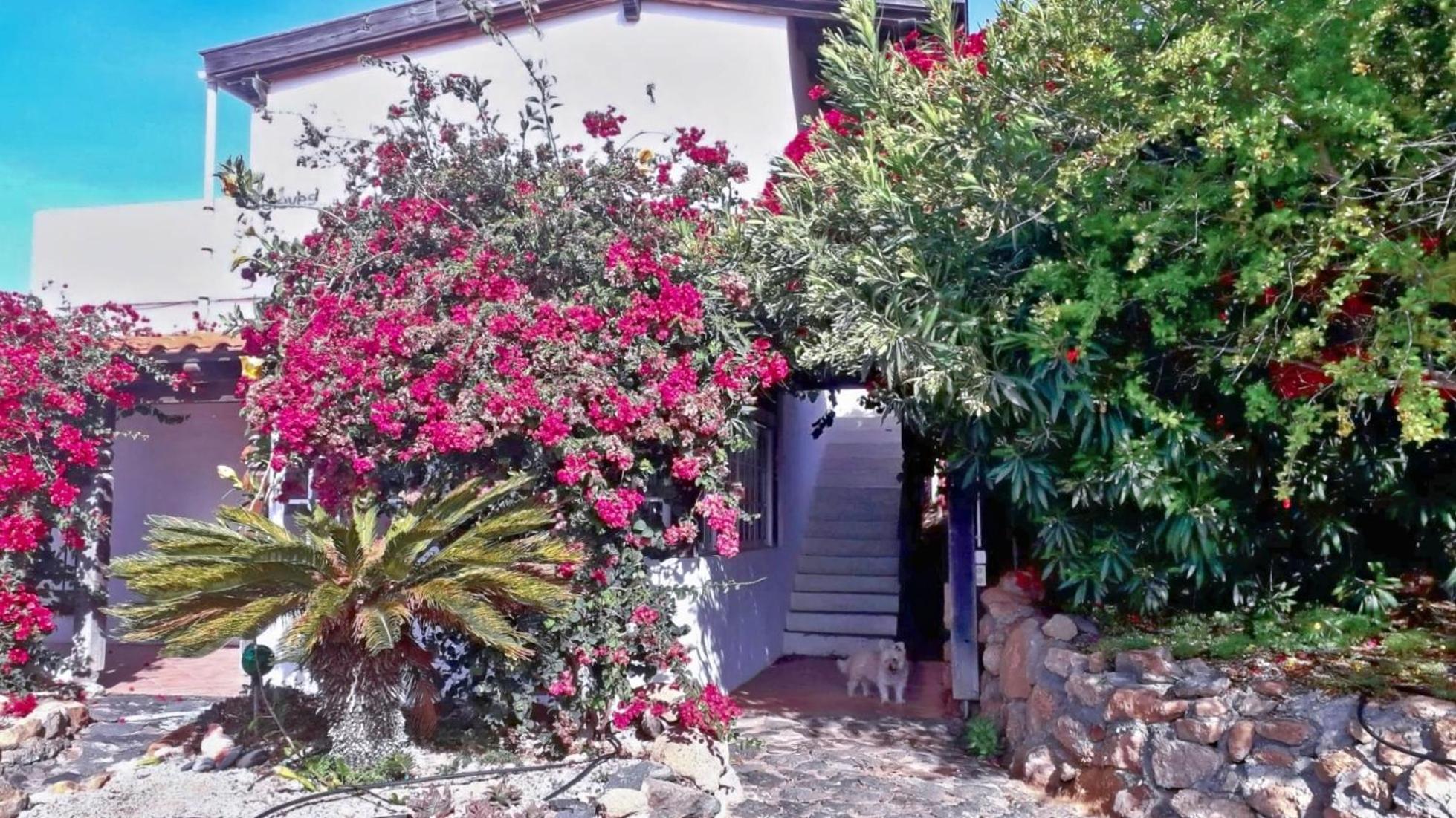 -Casa Azul-Arico Viejo La Sabinita - Baden, Wandern, Klettern, Individualurlaub Jenseits Des Massentourismus, Villa Eksteriør bilde