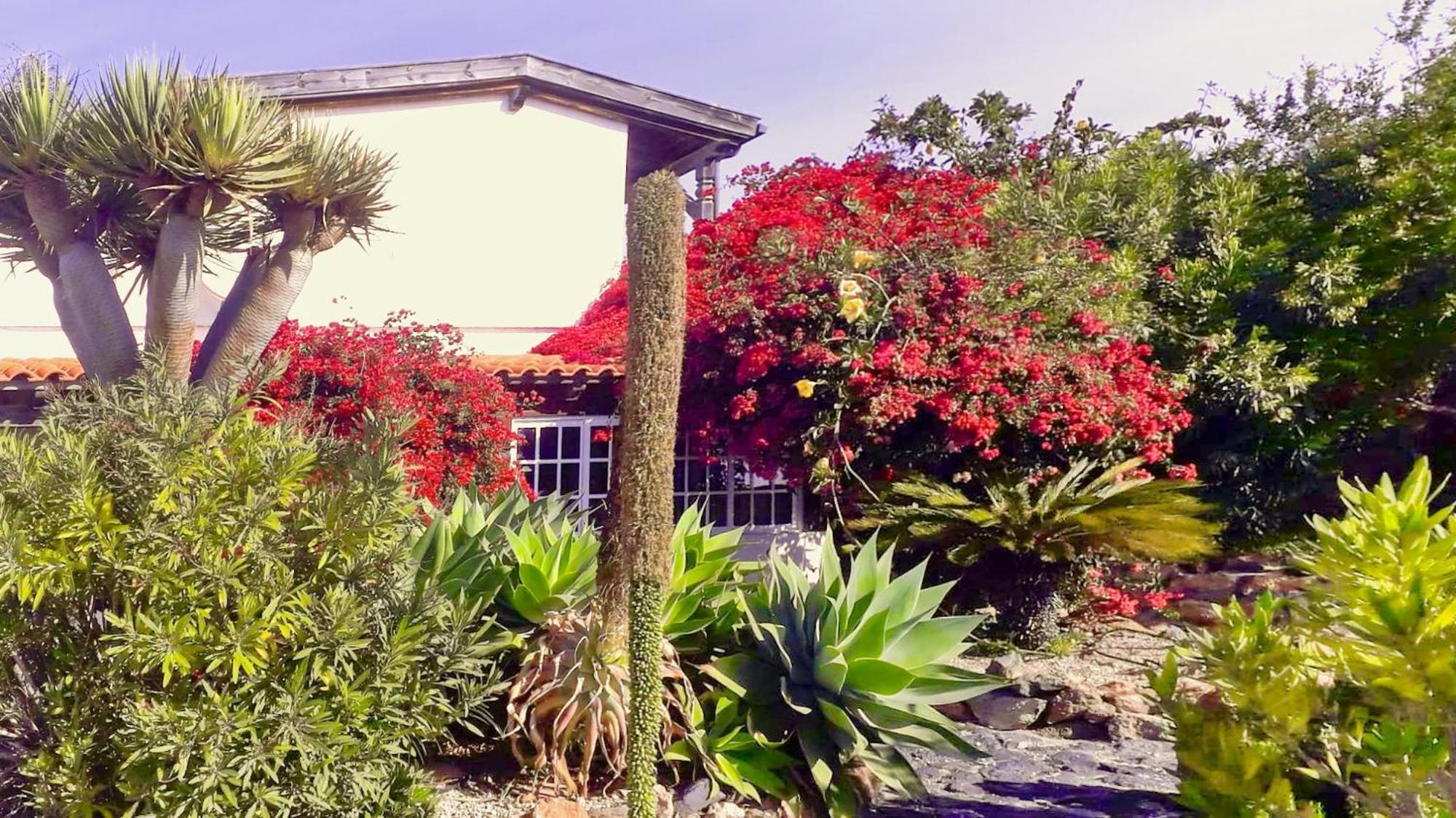 -Casa Azul-Arico Viejo La Sabinita - Baden, Wandern, Klettern, Individualurlaub Jenseits Des Massentourismus, Villa Eksteriør bilde