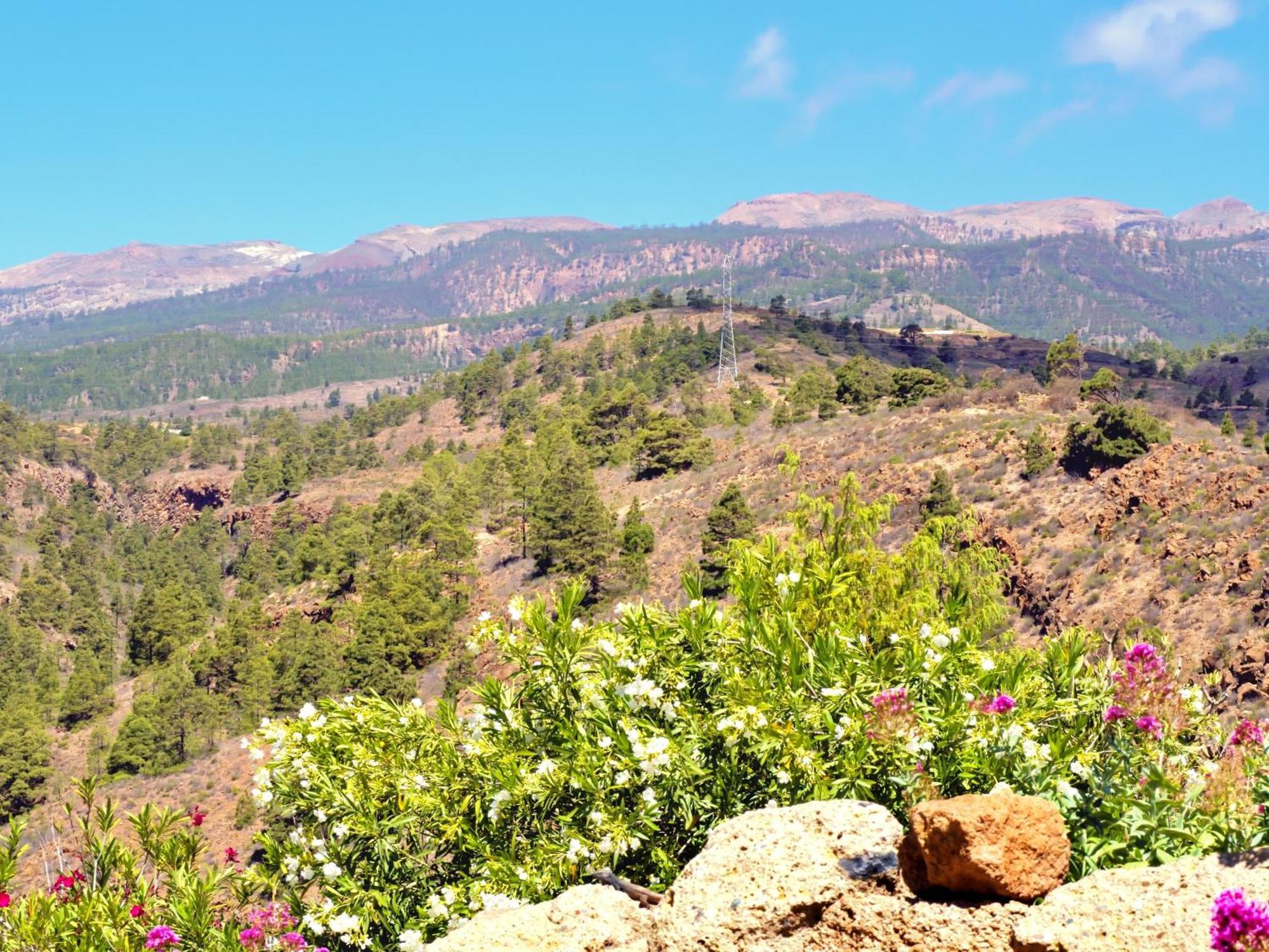 -Casa Azul-Arico Viejo La Sabinita - Baden, Wandern, Klettern, Individualurlaub Jenseits Des Massentourismus, Villa Eksteriør bilde