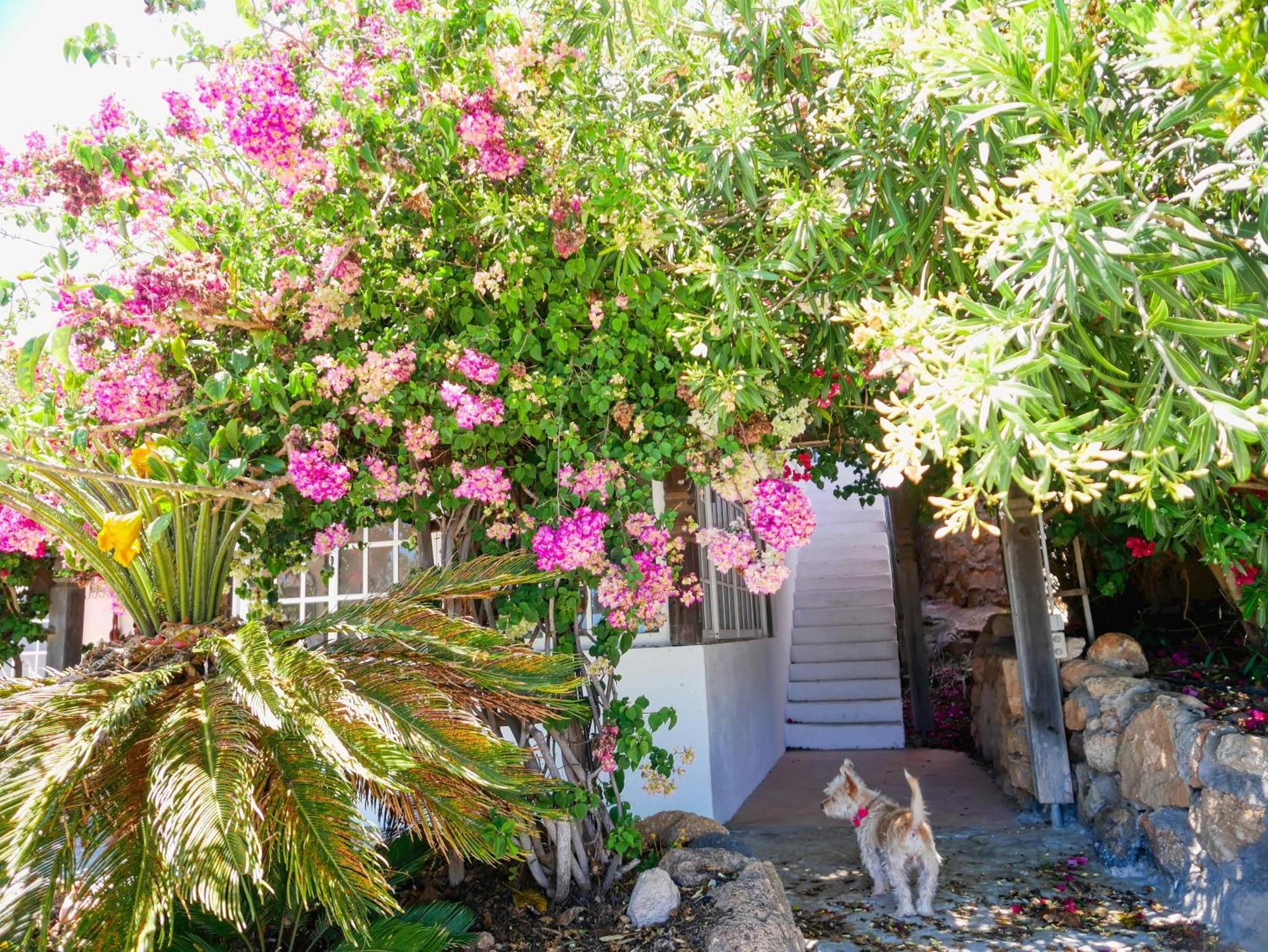 -Casa Azul-Arico Viejo La Sabinita - Baden, Wandern, Klettern, Individualurlaub Jenseits Des Massentourismus, Villa Eksteriør bilde