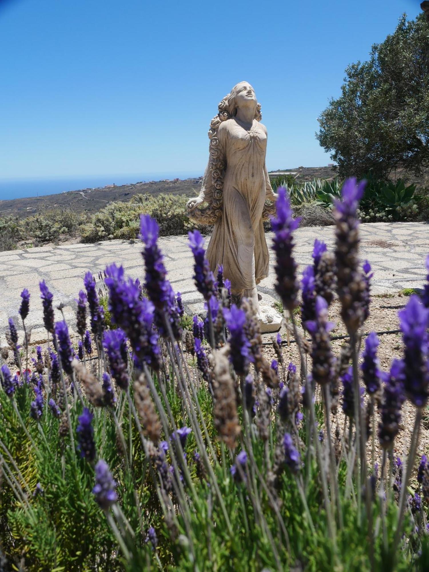 -Casa Azul-Arico Viejo La Sabinita - Baden, Wandern, Klettern, Individualurlaub Jenseits Des Massentourismus, Villa Eksteriør bilde