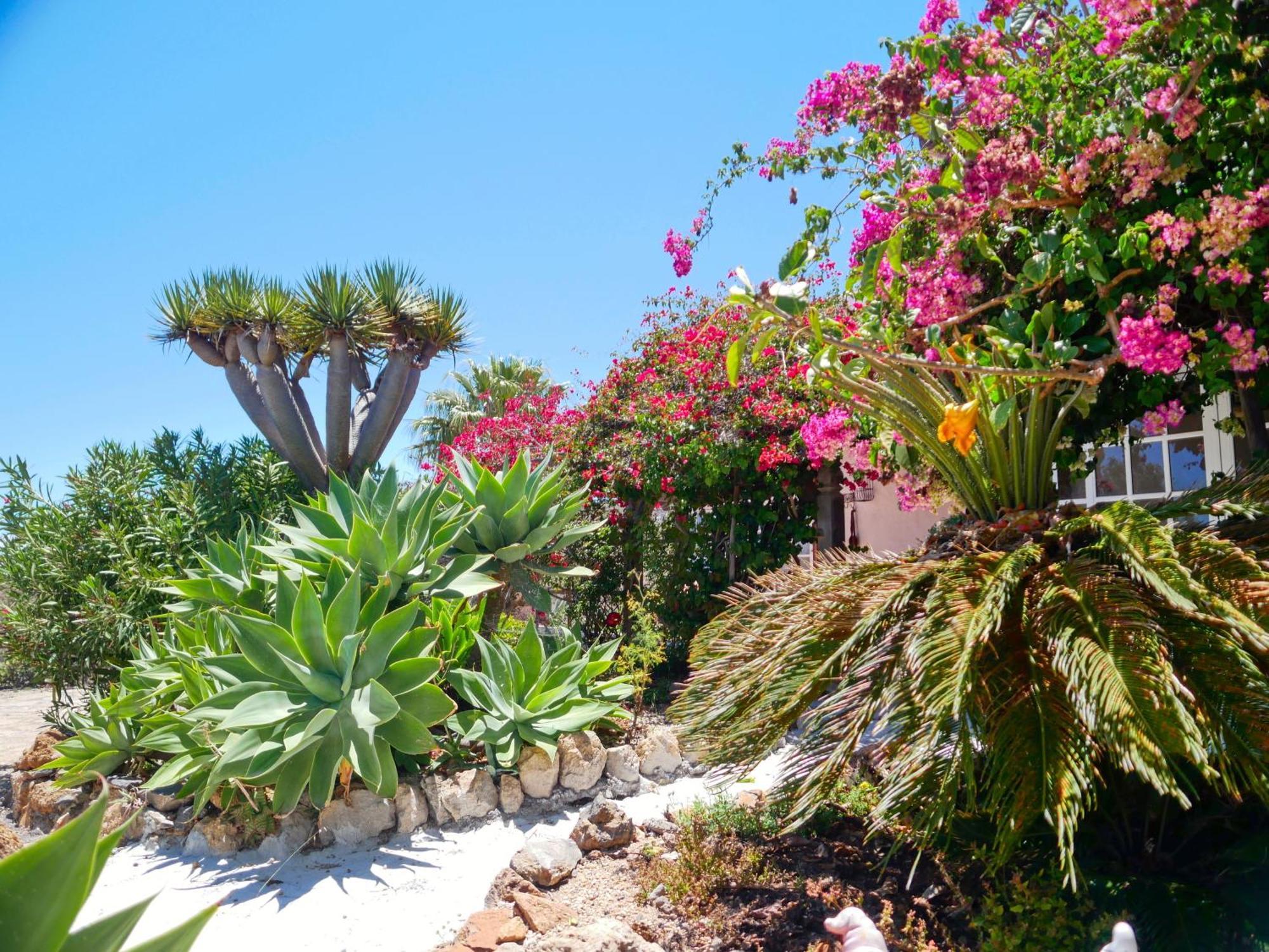 -Casa Azul-Arico Viejo La Sabinita - Baden, Wandern, Klettern, Individualurlaub Jenseits Des Massentourismus, Villa Eksteriør bilde