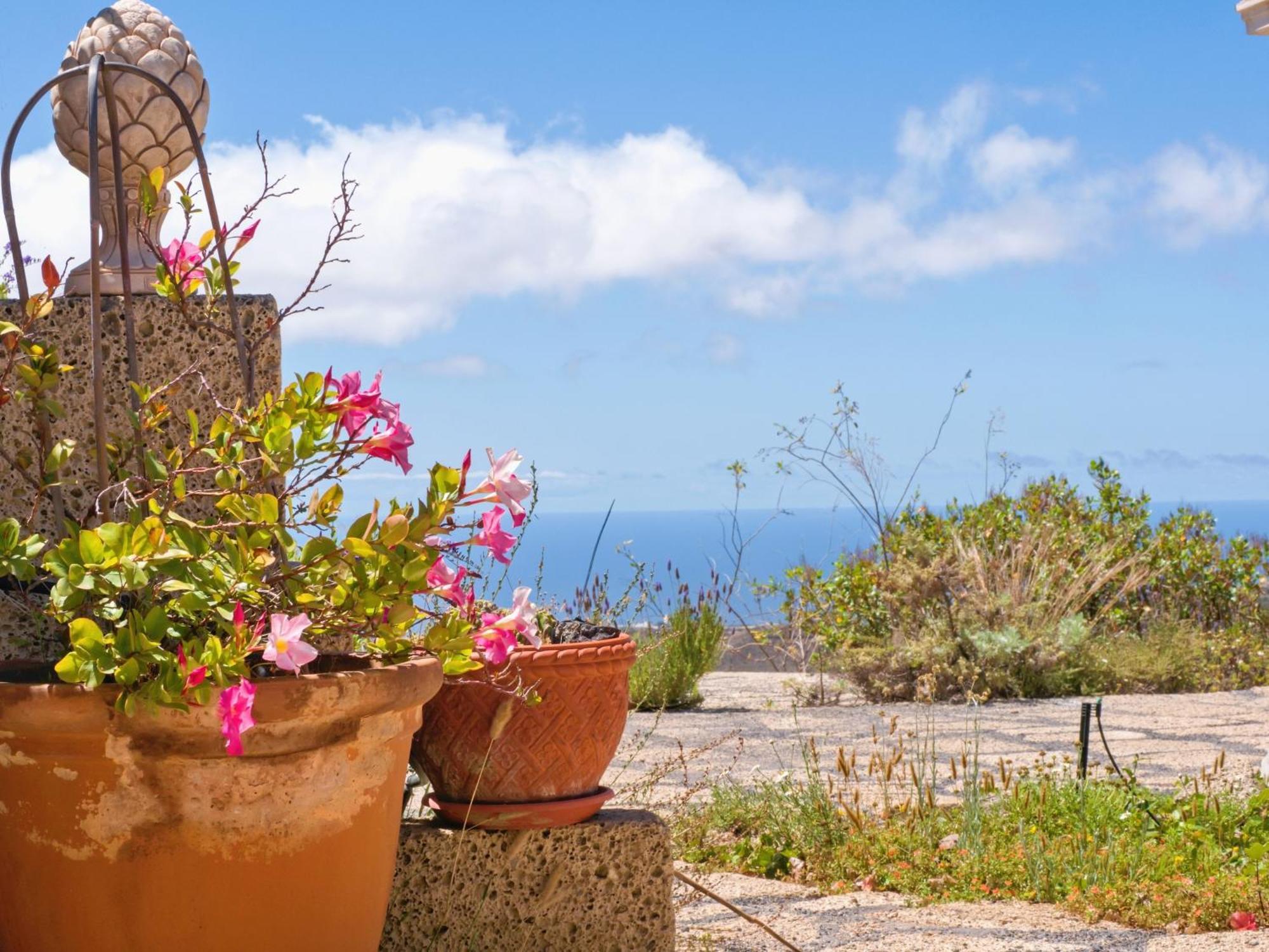 -Casa Azul-Arico Viejo La Sabinita - Baden, Wandern, Klettern, Individualurlaub Jenseits Des Massentourismus, Villa Eksteriør bilde